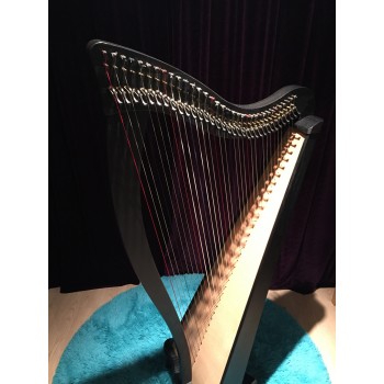 SOLD - 2nd Hand Dusty String Ravenna 34